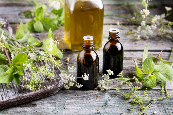 Herbal Alchemy: The Timeless Art of Crafting Plant Medicine Tinctures